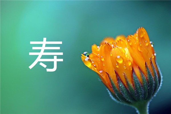 梦到寿字是什么意思