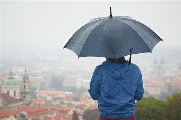 梦见雨中打伞