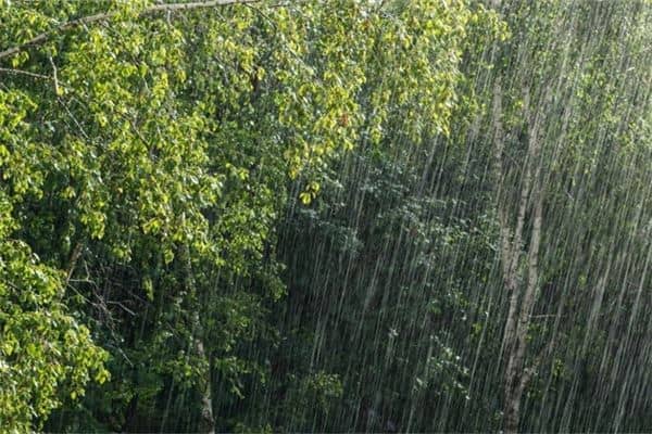 梦见发大水下大雨