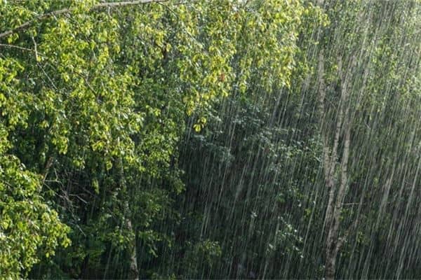 梦见下大暴雨