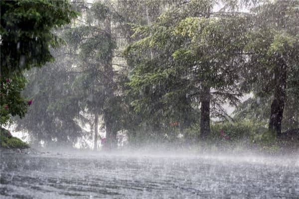 梦见狂风暴雨将要到来