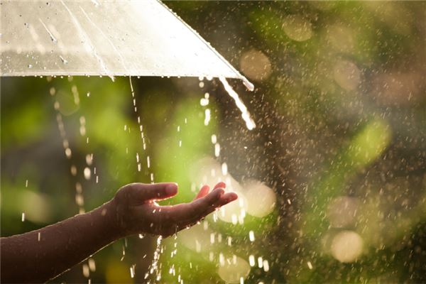 梦见下雨天捡钱