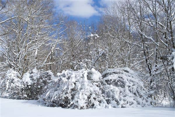 梦见下雪或积雪