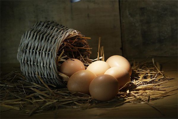 梦到检鸡蛋是什么意思