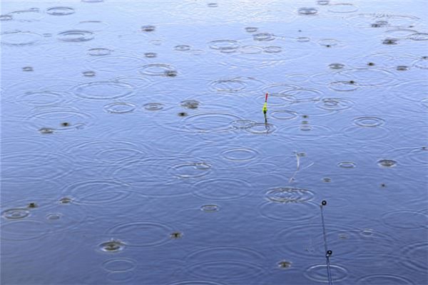 梦见下雨积水