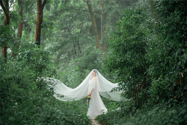 梦见下雨没带伞