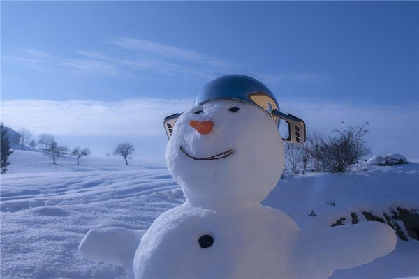 梦到了雪球是好是坏