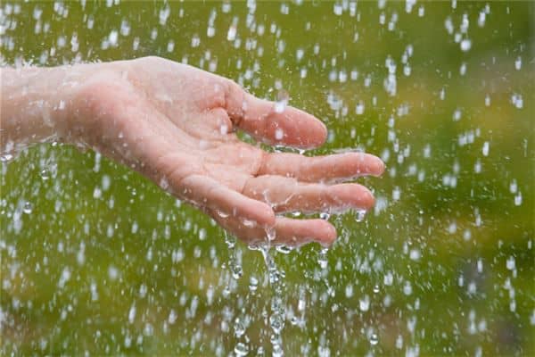 梦见大暴雨