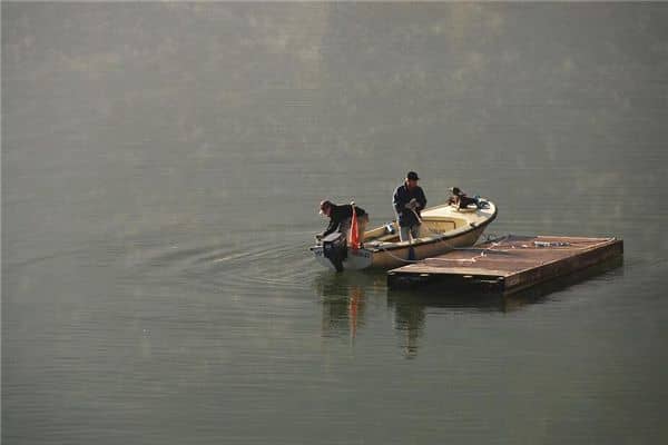 梦见水中捞鱼