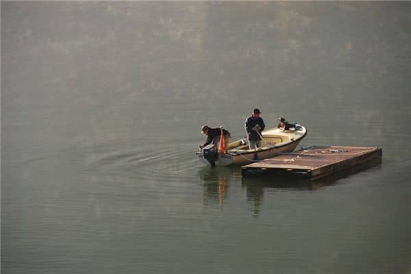 梦见别人捕鱼