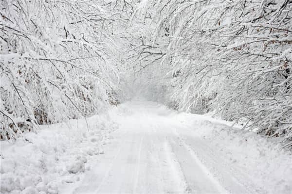 梦见山区下大雪